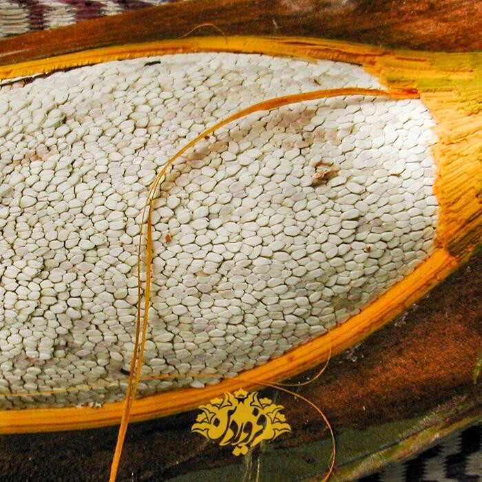 عسل نخل العربی وارداتی از دبی